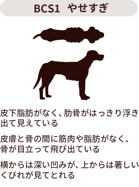 BCS1