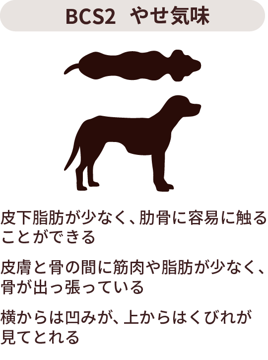 BCS1