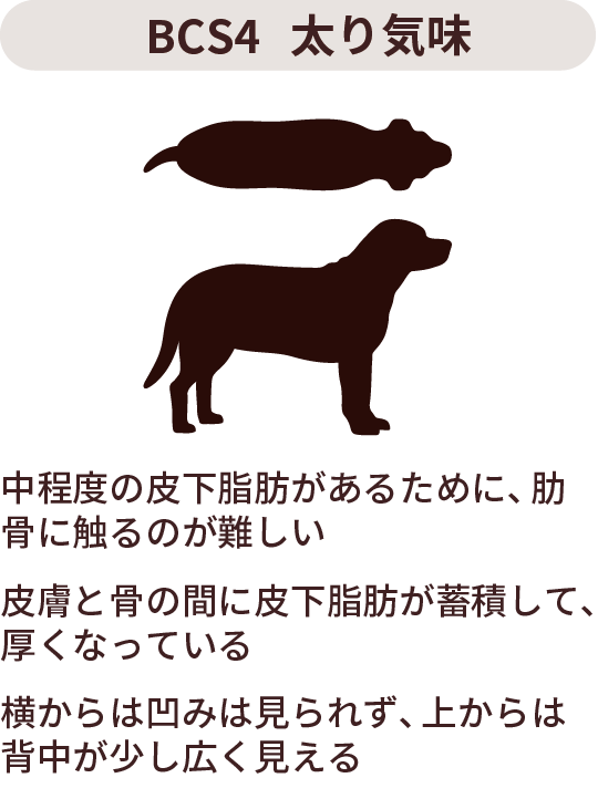 BCS1