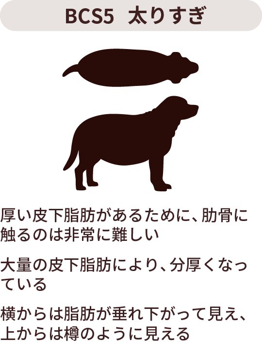 BCS1